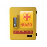 AED Alarmed Outdoor Wall Mountable Heated Metal Cabinet Yellow 2105 HS99910