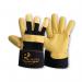 Predator Signature Hide Riggercat Gloves 1 Pair Gold 10 (Pack of 10) PRED2-GOLD J1SPRED2GOLD