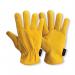 Supreme Hide Drivers Glove 1 Pair Gold 10 (Pack of 10) PRED3-GOLD J1SPRED3GOLD