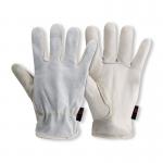 Standard Hide Drivers Glove 1 Pair Ivory 10 (Pack of 10) PRED3-SB J1SPRED3SB