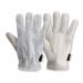 Standard Hide Drivers Glove 1 Pair Ivory 10 (Pack of 10) PRED3-SB J1SPRED3SB