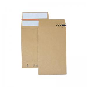 Bong E-Green C5 40mm Gusset Peel and Seal Mailer Pack of 250 69112