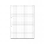 Hamelin Loose Leaf Paper 10mm Squared 1000 Page Punched 2 Hole A4 (Pack of 5) 100104180 JD95457
