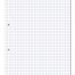 Hamelin Loose Leaf Paper 5mm Squared 1000 Page Punched 2 Hole A4 (Pack of 5) 100103318 JD95463