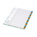 Concord 1-31 A4 Multicoloured Polypropylene Index 66699