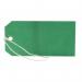 Strung Tag 120x60mm Green (1000 Pack) KF01624 KF01624