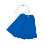 Strung Tag 120x60mm Blue (Pack of 1000) KF01625 KF01625