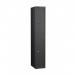 The photo shows a sleek black Lion Steel Lockers Probe Standard Locker made from strong steel, measuring 1780x460x460 in size. It has a flat top and is designed with a 1-2 tier nest structure. The door is also black and has a secure cam lock for protection.