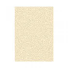 Decadry Parchment A4 Letterhead Paper 95gsm Champagne (Pack of 100) PCL1601 LX13498