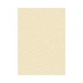 Decadry Parchment A4 Letterhead Paper 95gsm Champagne (Pack of 100) PCL1601 LX13498