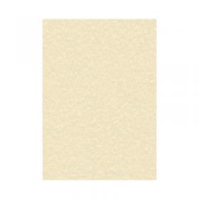 Decadry Parchment A4 Letterhead Paper 95gsm Champagne (Pack of 100) PCL1601 LX13498