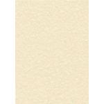 Decadry Parchment A4 Letterhead Paper 95gsm Champagne (Pack of 100) PCL1601 LX13498