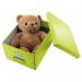Leitz Click Store Medium Storage Box Green 60440064 LZ39813