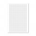 Loose Leaf Graph Paper A4 (500 Pack) 100103410 MO00417