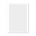 Loose Leaf Graph Paper A4 (500 Pack) 100103410 MO00417