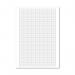 Loose Leaf Graph Paper A4 (500 Pack) 100103410 MO00417