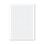A4 Loose Leaf Graph Paper (Pack of 500) 100103410 MO00417