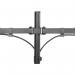 Neomounts By Newstar Monitor Desk Mount FPMA-D550DBLACK NEO44628