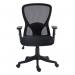 High Back Mesh Chair with Height Adjustable Arms, Adjustable Lumbar Support & Tilt and Lock Function BCM/B560/BK