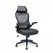 Canis High Back Mesh Chair with Moulded Seat Foam, Folding Arms and Headrest - Black BCM/K540/BK