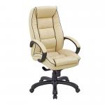 Truro High Back Leather Faced Executive Armchair with Contrasting Piping - Cream DPA609KTAG/LCM