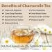 Twinings Pure Camomile Envelopes 20s - PACK (12) NWT016P
