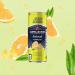San Pellegrino Sparkling Grapefruit Cans 24x330ml NWT1029