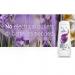 Glade Air Freshener Gel Lavender 150g NWT1063