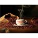 Cafe Maid Luxury Coffee Creamer Pots 12ml (Pack of 120) NWT129