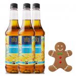 Tate & Lyle Gingerbread Coffee Syrup 750ml (Plastic) - PACK (4) NWT1351P