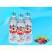 Vim2o NAS Still Fruity Spring Water 12x500ml NWT1960