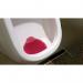 P-Wave Slant6 Urinal Screen Spiced Apple - PACK (10) NWT2058P