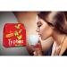 Typhoo Tea Bags 440s - PACK (6) NWT2226P