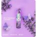 Febreze Lavender Air Freshener 185ml - PACK (8) NWT2265P