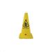 Slippery Surface Cone NWT2848