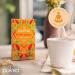 Pukka Tea Three Ginger Envelopes 20s NWT3039