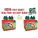 Fruit Shoot Summer Fruits 4x200ml NWT3079