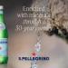 San Pellegrino Sparkling Water GLASS 12x750ml NWT3174