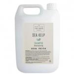 Sea Kelp Shampoo 5 Litre - PACK (2) NWT3201P