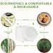 Belgravia CaterPack 7 Biodegradable & Compostable Bowl 50 Pack NWT3261