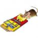 Big Cheese Pre-Baited Mouse Trap STV194 - PACK (30) NWT3283P