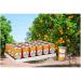 Britvic Orange Juice Cans 24x150ml NWT3906