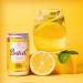Britvic Indian Tonic Water Cans 24x150ml NWT3907