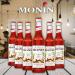 Monin Winter Spice Coffee Syrup 700ml (Glass Bottle) NWT4010
