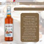 Monin Sugar Free Gingerbread Coffee Syrup 1 Litre NWT4012