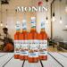 Monin Sugar Free Gingerbread Coffee Syrup 1litre (Plastic Bottle) NWT4012