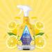 Astonish Zesty Lemon Kitchen Cleaner 750ml NWT4213