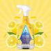 Astonish Zesty Lemon Kitchen Cleaner 750ml NWT4213