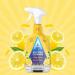 Astonish Kitchen Cleaner, Vegan And Cruelty Free Blended With Natural Oils, 750ml, Zesty Lemon NWT4213