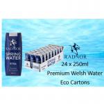Radnor Hills Spring Still Water 24x250ml Cartons NWT4445